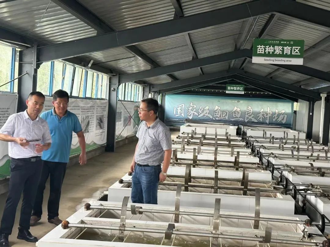 九州酷游(酷游·ku游)官方网站
